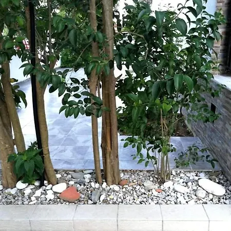 Ekaterini