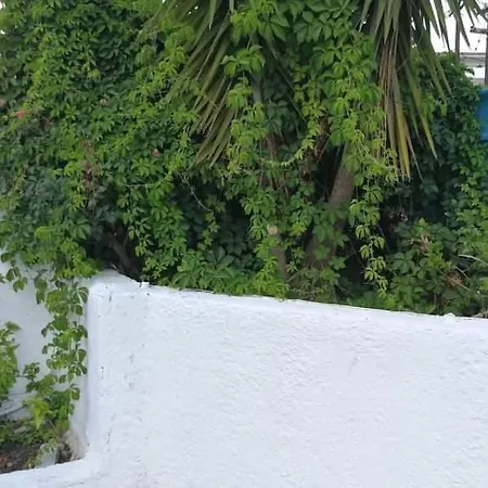 Ekaterini Skiathos Town